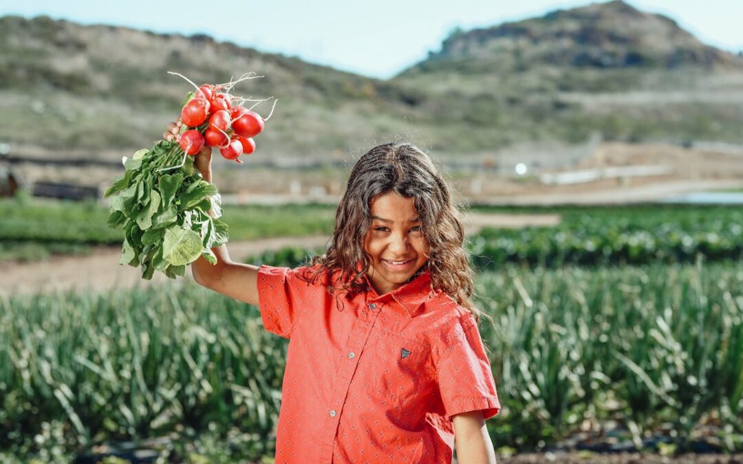 World Health Day 2024: the role of sustainable public procurement and the school food system